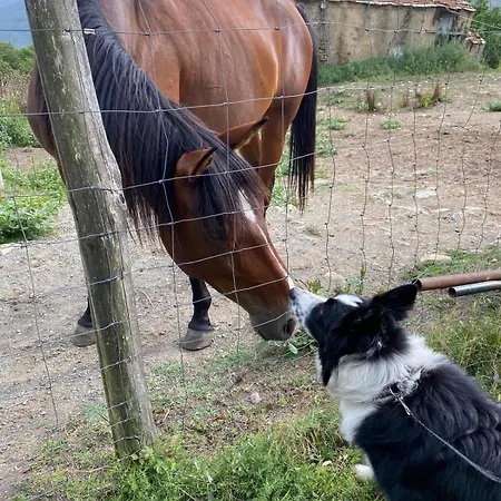 Σπίτι διακοπών Soleluna *